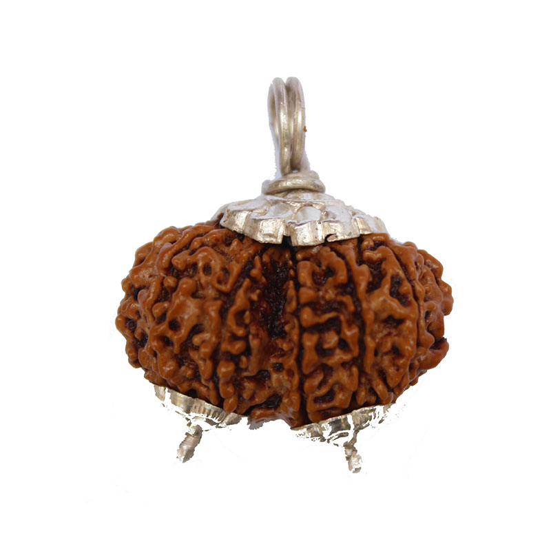 Shankar-Rudraksha